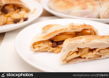 Homemade Apple Strudel on Plate on the Table