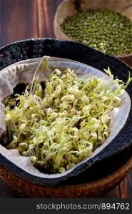 Homemade bean sprouts for food safety, germinate of green beans make nutrition vegetable cuisine, close up of sprout with basket on wooden background
