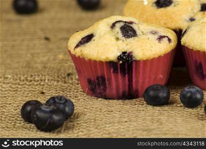 homemade blueberries muffins over hessian fabric and fruits around