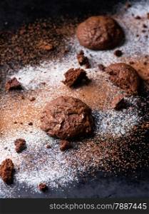 Homemade chocolate cookies on dark background, selective focus