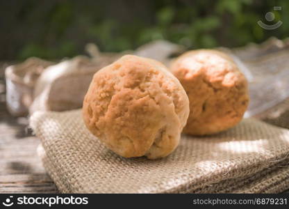 Homemade fresh classic scone on wood background