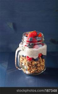 homemade granola and chia seed pudding with berry healthy breakfast