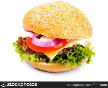 homemade hamburger isolated on white background