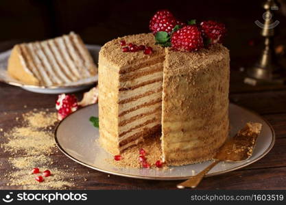 Homemade honey cake decorated with pomegranate berries and mint leaves. Dark and Moody, Mystic Light food photography. 