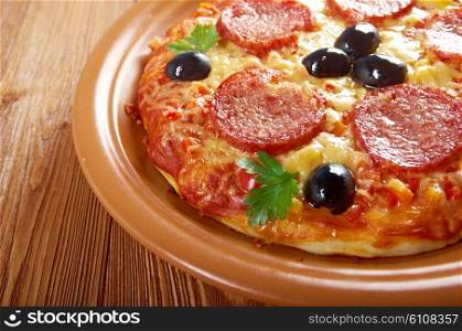 homemade italian pizza Pepperoni.Closeup