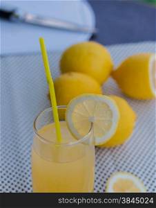 Homemade Lemonade Indicating Delicious Tropical And Summertime