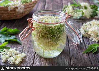 Homemade meadowsweet tincture with fresh blooming plant