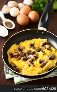 Homemade omelette with mushroom in frying pan with ingredients in the back, photographed with natural light (Selective Focus, Focus in the middle of the omelette). Omelette with Mushroom