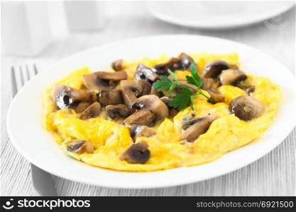 Homemade omelette with mushroomon on plate, photographed with natural light (Selective Focus, Focus in the middle of the image). Omelette with Mushroom