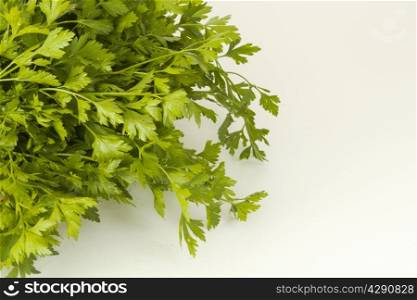 homemade parsley on a white background