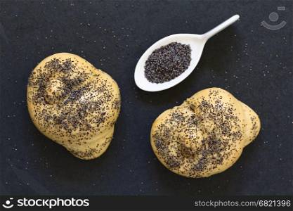 Homemade poppy seed bread rolls, photographed overhead on slate with natural light (Selective Focus, Focus on the top of the rolls)