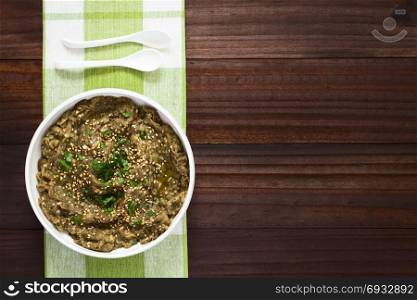 Homemade roasted eggplant dip or spread, baba ganoush in the Mediterranean cuisine, with olive oil, sesame and parsley on top, photographed overhead with natural light. Roasted Eggplant Dip or Spread