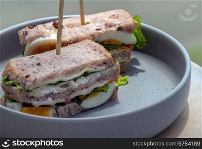 Homemade sandwich’s stuffed with chicken breast, cheese, boiled eggs and fresh vegetables such as lettuce, sliced carrot, purple cabbage in ceramic bowl. Space for text, Selective focus.