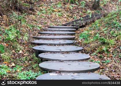 homemade staircase of circles, stairs with wooden circles. stairs with wooden circles, homemade staircase of circles