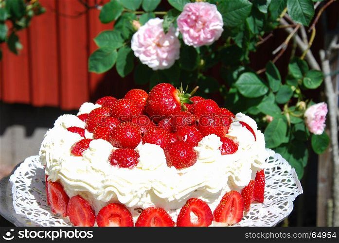 Homemade strawberry cake outdoors in a garden with pink roses