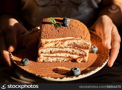 Homemade tiramisu cake decorated with mint leaves and blueberries, close-up. Tiramisu, traditional Italian dessert on a plate in female hands, selective focus. Bright sunshine