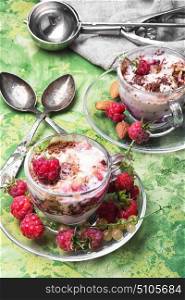 Homemade vanilla ice cream with raspberry. Vanilla ice cream in glass bowls with raspberry gourmet flavours