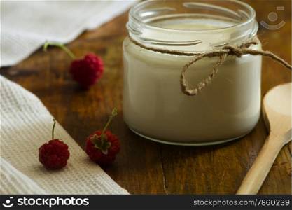 homemade yogurt and raspberries