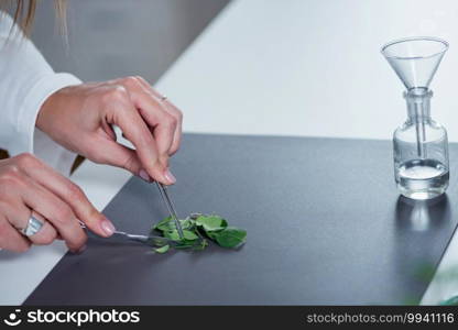 Homeopath preparing herbal remedies