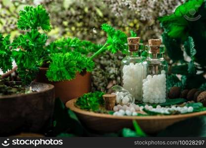 Homeopathic globules in small bottles with fresh leaves, homeopathy concept 