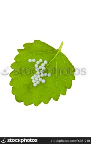 homeopathy. globules as alternative medicine. lying on a leaf.