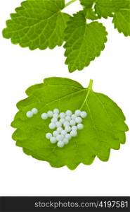 homeopathy. globules as alternative medicine. lying on a leaf.