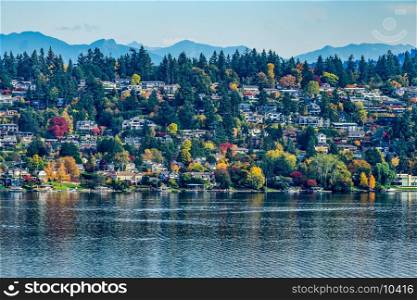 Homes in Bellevue, Washington in autumn.