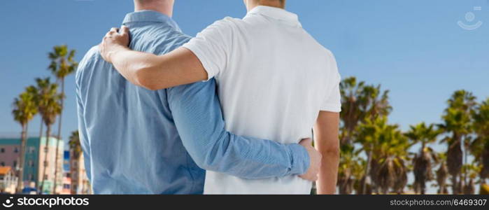 homosexual, same-sex marriage and tolerance concept - close up of happy male gay couple hugging over venice beach in los angeles background. close up of gay couple hugging over los angeles