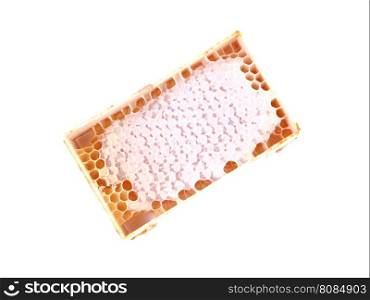 Honey in honeycombs on a white background