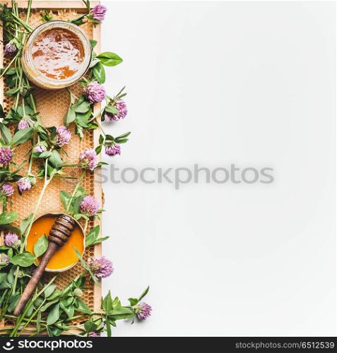 Honey in jar with dipper, honeycomb frame and wild flowers on white background, top view. Healthy food, flat lay, border, vertical