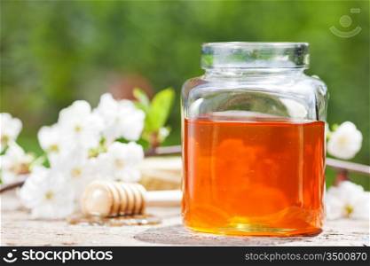 Honey jar, flower and wooden stick on table against spring natural background