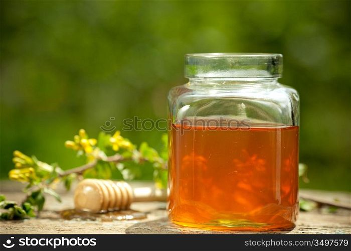 Honey jar, stick and flower honeysuckle on wooden table against spring natural green background