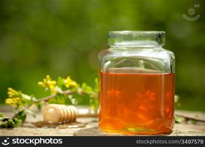 Honey jar, stick and flower honeysuckle on wooden table against spring natural green background