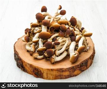 honey mushrooms on wood table