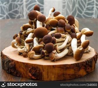honey mushrooms on wood table