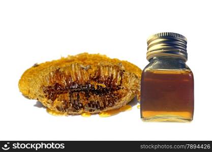 honeycomb and honey in Bottle