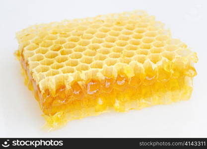 Honeycomb isolated on white