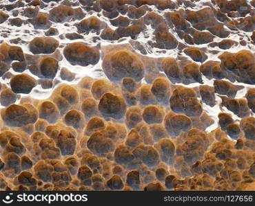 Honeycomb weathering surface of rock in Yehliu Geopark, New Taipei, Taiwan