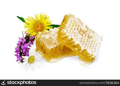 Honeycomb with fragrant honey, wild flowers isolated on white background