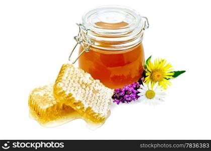 Honeycomb with fragrant honey, wildflowers, a glass jar isolated on white background