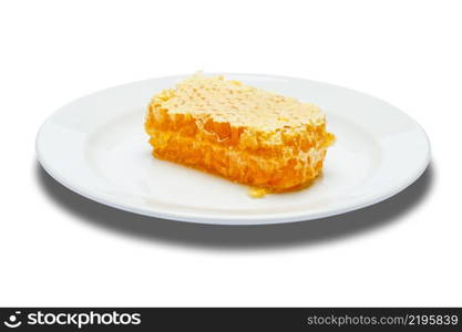 Honeycomb with honey on a white background. Honeycomb with honey on plate isolated white background