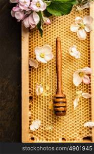 honeycomb with wooden dipper and summer aple blossom, top view