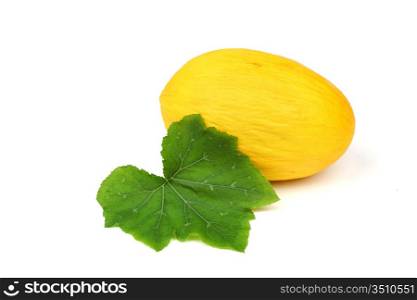 honeydew melon isolated on white