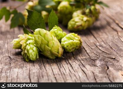 Hops with green leaf on a wooden background