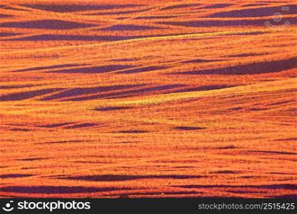 Horizontal background with copy space and Texture closeup - red