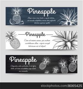 Horizontal banners template with pineapple. Horizontal banners template vector. Banners with exotic fruit pineapple