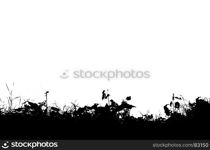 Horizontal black and white grass silhouette illustration backgro. Horizontal black and white grass silhouette illustration background hd