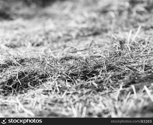 Horizontal black and white hay stable bokeh background backdrop