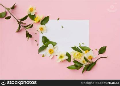 Horizontal corner frame with narcissus flowers and leaves on a pink background. Flat lay. Corner frame with flowers