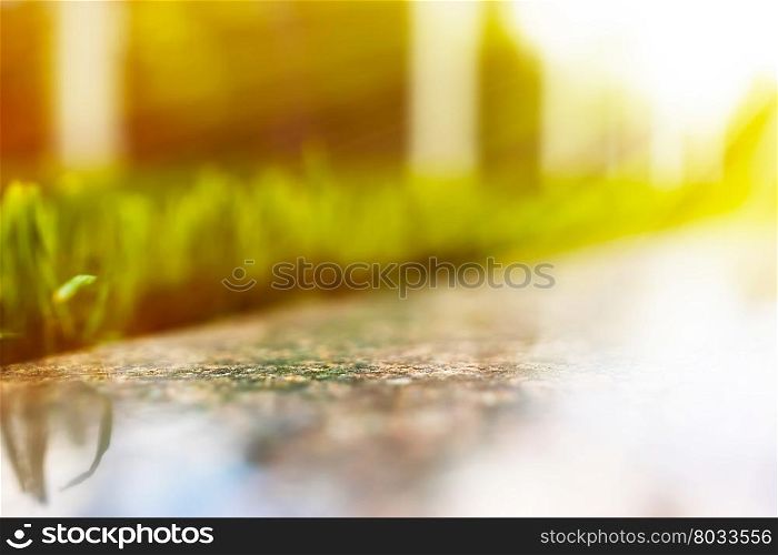 Horizontal grass bed with light leak bokeh background